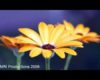 Lyric Music